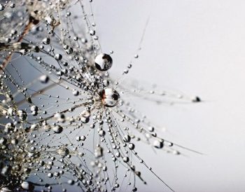 Medycyna estetyczna w kooperacji z naturą - Moda na eko